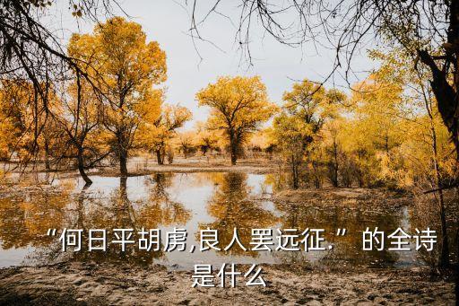 “何日平胡虜,良人罷遠征.”的全詩是什么