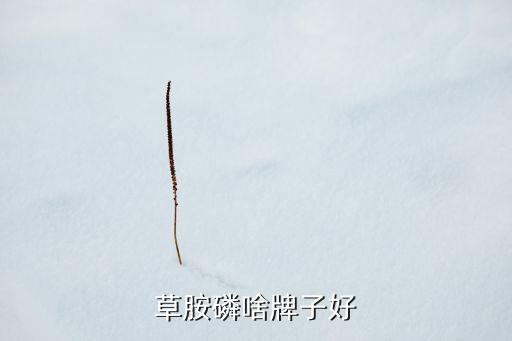 草胺磷啥牌子好