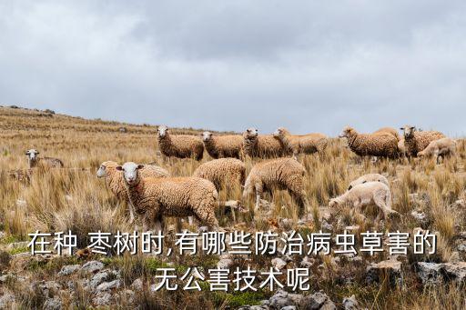 院里長棗樹用什么農藥殺滅