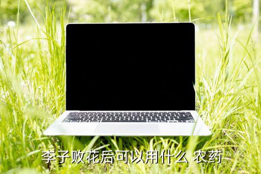  李子敗花后可以用什么 農(nóng)藥