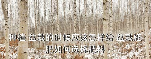 盆栽蔬菜什么時期打農藥