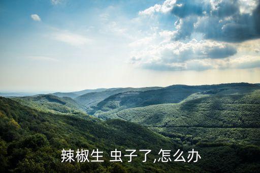 辣椒生 蟲子了,怎么辦