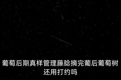 匯葡農藥防治什么病,果實蠅用什么農藥防治?