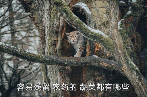 什么蔬菜除農藥最好,蔬菜去農藥最好方法