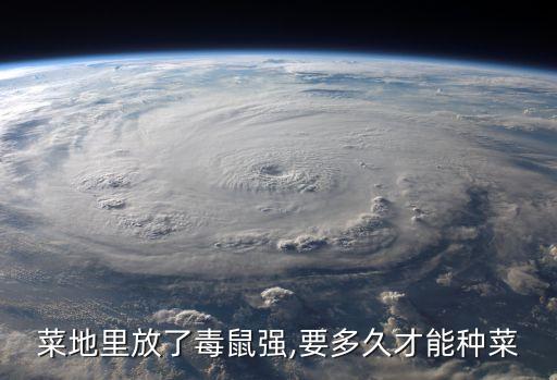 菜地里放了毒鼠強,要多久才能種菜