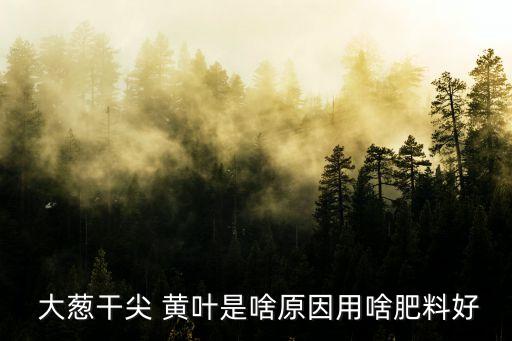 ,大蔥黃葉要打什么農藥