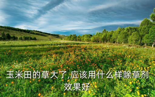 野帶子草用什么農藥