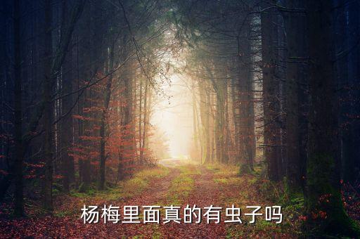 楊梅什么季節(jié)打農(nóng)藥,楊梅清園用什么農(nóng)藥