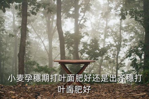 小麥出穗了打什么農藥,小麥什么時間出穗