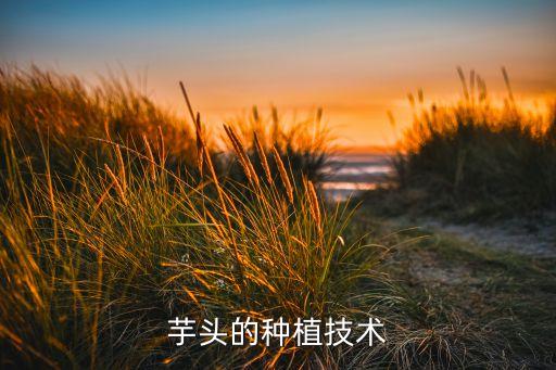 芋頭的種植技術