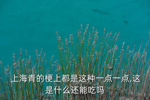 上海青為什么多農(nóng)藥,炒上海青一股農(nóng)藥味