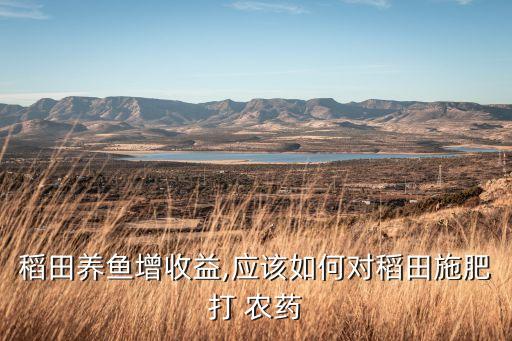 稻田養魚增收益,應該如何對稻田施肥打 農藥