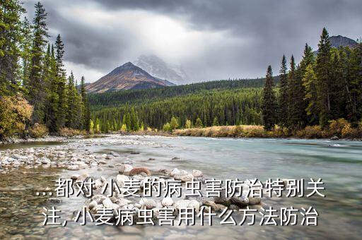 ...都對(duì) 小麥的病蟲(chóng)害防治特別關(guān)注, 小麥病蟲(chóng)害用什么方法防治