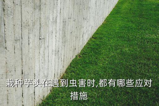 香芋爛打什么農藥好,香芋用什么農藥最好