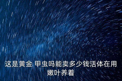 這是黃金 甲蟲嗎能賣多少錢活體在用嫩葉養(yǎng)著