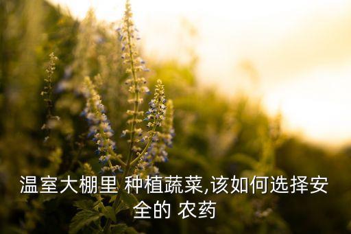 溫室大棚里 種植蔬菜,該如何選擇安全的 農(nóng)藥