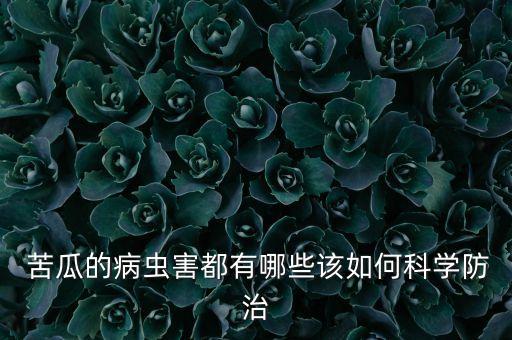 苦瓜可以和什么打汁,苦瓜不能打什么農(nóng)藥