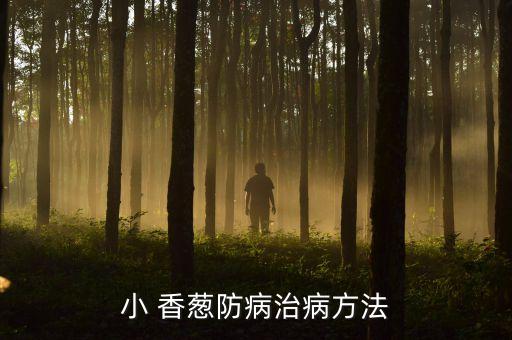 小 香蔥防病治病方法