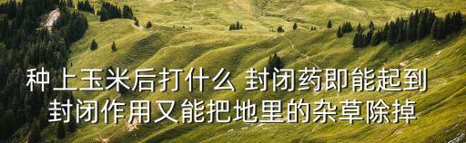 農藥封閉藥有什么,藥魚用什么農藥最好無毒