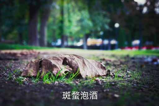 斑蝥用什么農藥,斑蝥蟲在什么地方最多