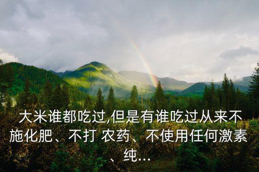 什么大米沒有打過農藥,大米有農藥味什么原因