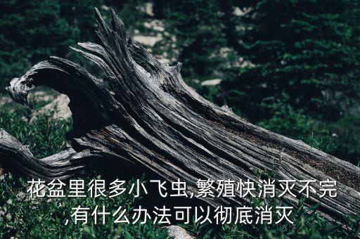 什么農藥適合花盆殺蟲,農藥可以澆到花盆里殺蟲嗎