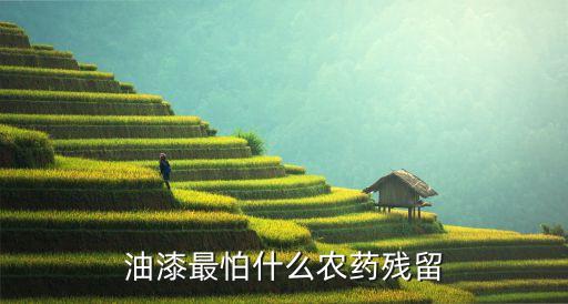 油性油漆最怕什么農藥殘留