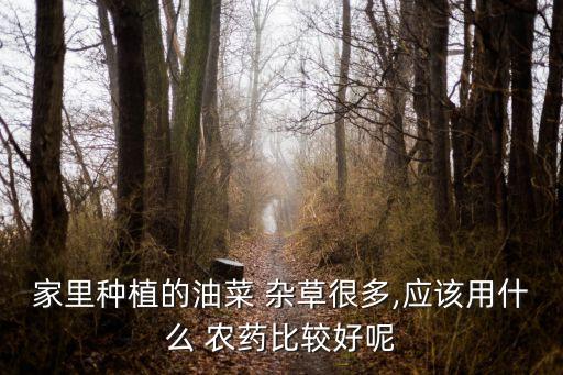 家里種植的油菜 雜草很多,應(yīng)該用什么 農(nóng)藥比較好呢