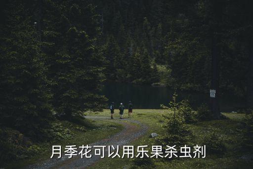 月季花防蟲打什么農藥