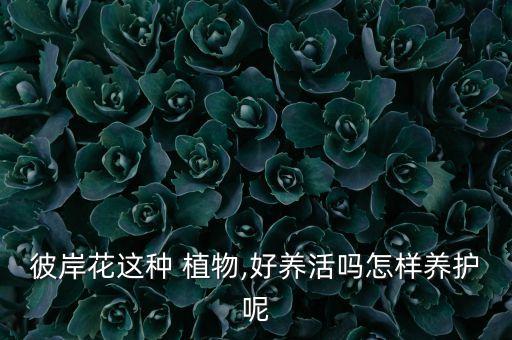 農(nóng)藥種什么植物好活點,什么農(nóng)藥能使植物快速開花