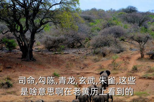 土司靈是什么農藥,甲胺靈是什么農藥?