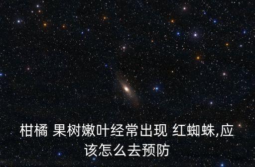 果樹用什么農藥防治紅蜘蛛,果樹上紅蜘蛛幾月防治最好