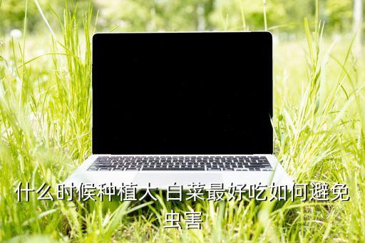 白菜什么時(shí)間用農(nóng)藥,白菜上有蟲(chóng)用什么農(nóng)藥效果好