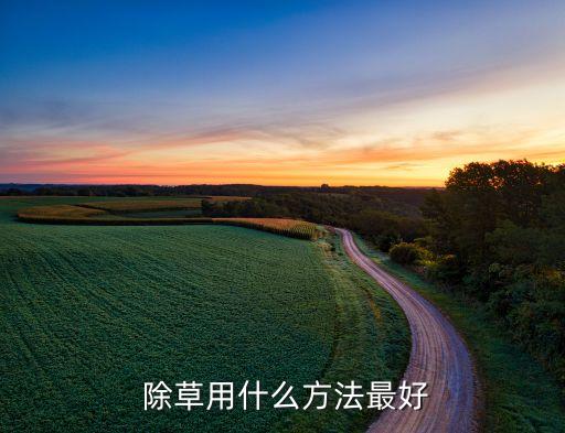 除草用什么方法最好
