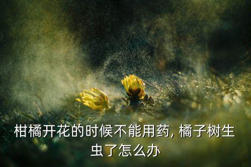 柑橘開(kāi)花的時(shí)候不能用藥, 橘子樹(shù)生蟲(chóng)了怎么辦