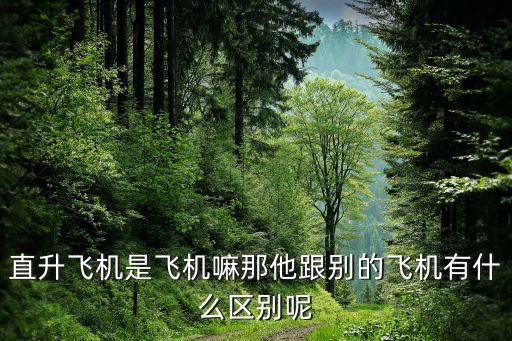 直升飛機是飛機嘛那他跟別的飛機有什么區別呢