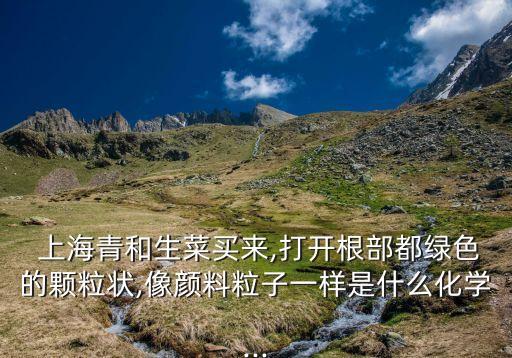 上海青和生菜買來,打開根部都綠色的顆粒狀,像顏料粒子一樣是什么化學...
