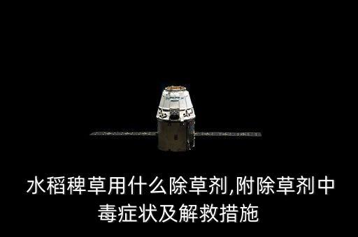 水稻雜草用什么農藥好,水稻里的雜草叫什么