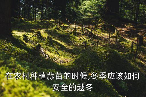 在農村種植蒜苗的時候,冬季應該如何安全的越冬