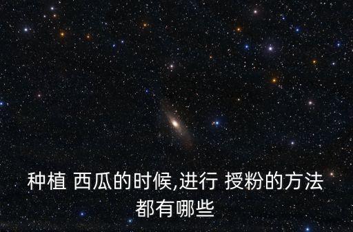 種植 西瓜的時候,進行 授粉的方法都有哪些