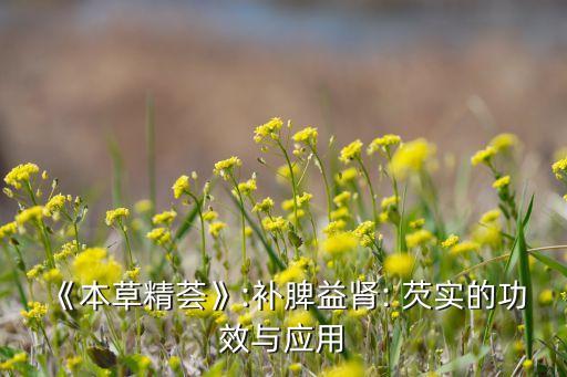 《本草精薈》:補(bǔ)脾益腎: 芡實的功效與應(yīng)用