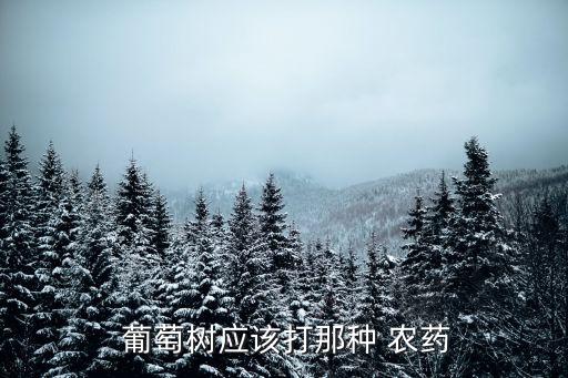 葡萄春季噴什么農藥好點,春季果樹噴什么農藥