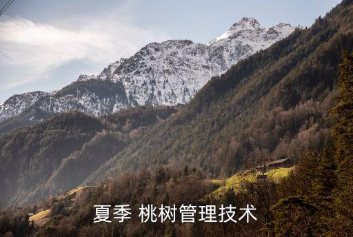 桃樹夏天打什么農藥,桃樹害蟲用什么農藥