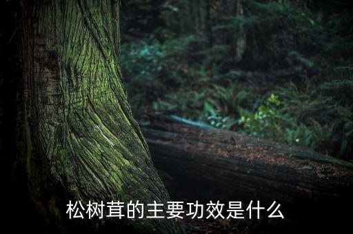 農(nóng)藥樹蓉是什么,666粉是什么農(nóng)藥