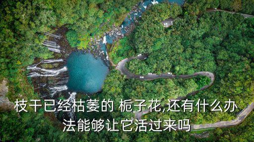 梔子樹打什么農藥好看點,打樹用什么農藥