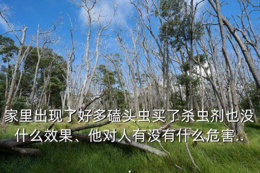家里出現了好多磕頭蟲買了殺蟲劑也沒什么效果、他對人有沒有什么危害...