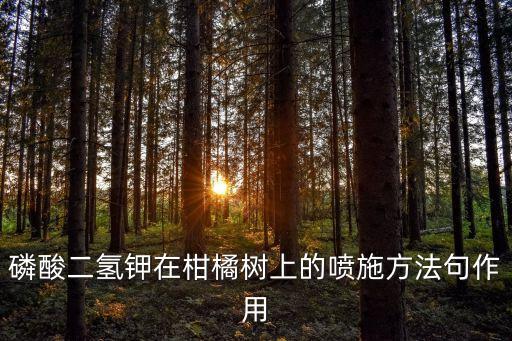 柑橙謝花用什么農(nóng)藥