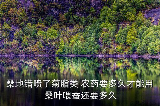 桑葉打什么農藥最好呢,桑葉治什么病最好