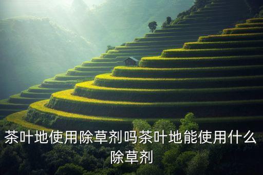 茶園農藥使用注意什么