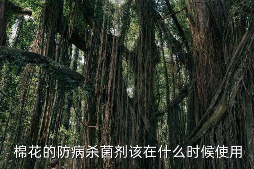 棉花開花前打什么農藥,棉花在什么季節開花